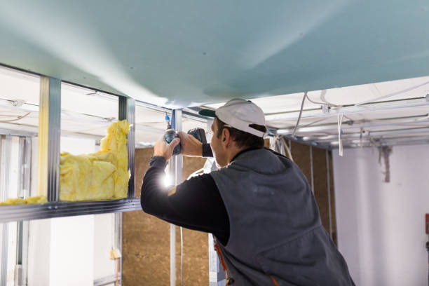 Best Geographic-Specific Insulation Services in Barrington Hls, IL